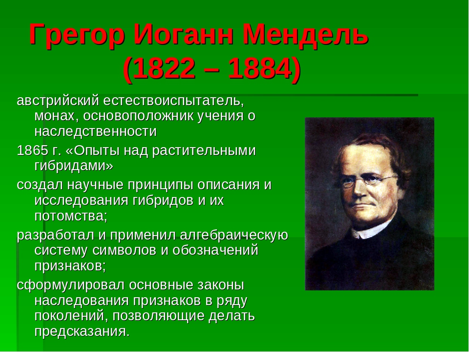 Мендель Мендель