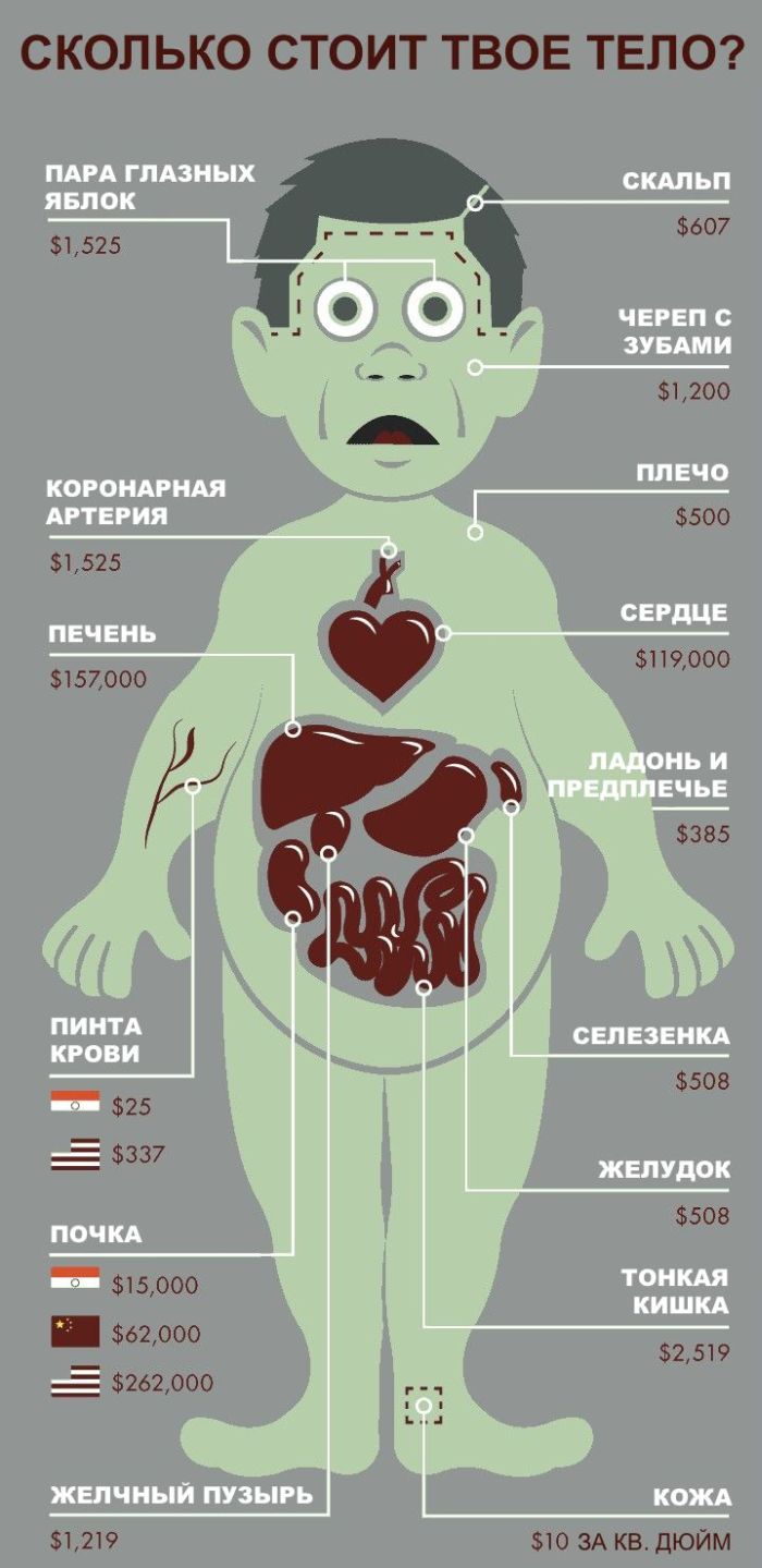Человек сколько стоит Человек сколько стоит