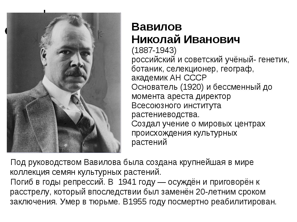 Вавилов 1 Вавилов 1