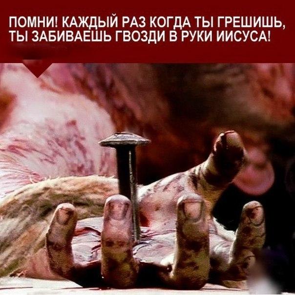 Мы искуплены кровью Христа Мы искуплены кровью Христа